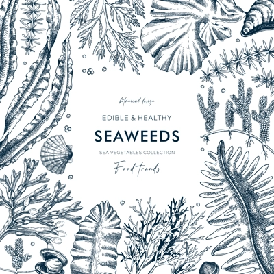 Seaweed vector card design in sketch style. Edible algae frame with golden kelp, wakame, kombu, hijiki, Irish moss drawings. Underwater plant botanical illustration for prints and illustrations